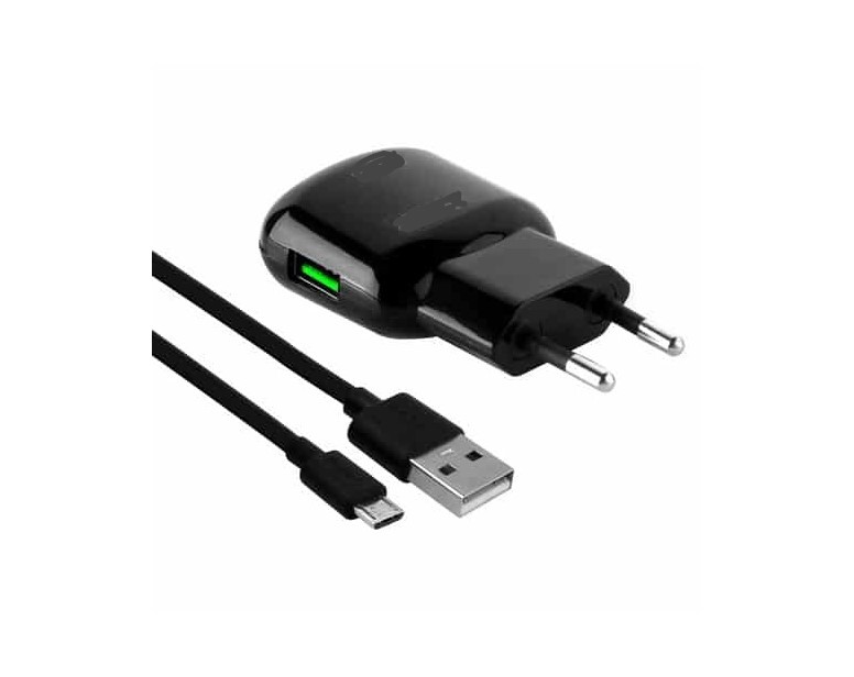 KUĆNI PUNJAČ+KABEL USBB-MICRO